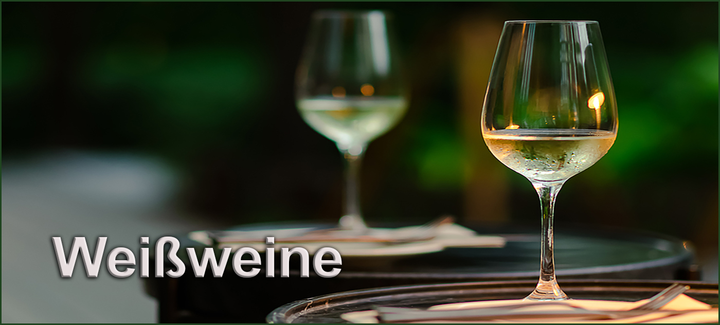 Two glasses of white wine on table with green background from garden.