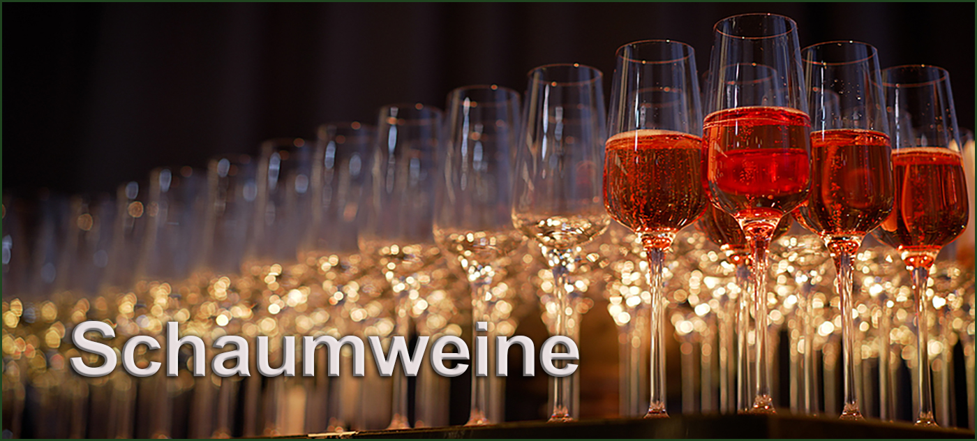 Two glasses of white wine on table with green background from garden.